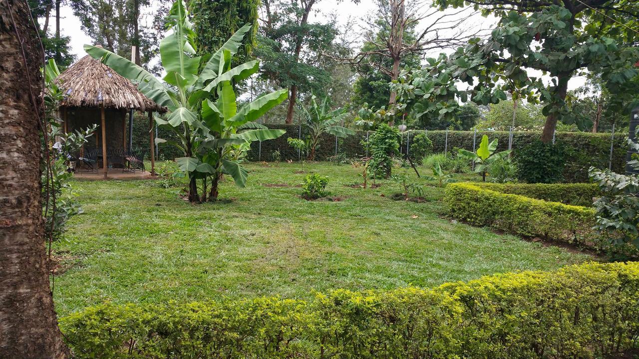 Mama Simba Bed And Breakfast Moshi Exterior photo